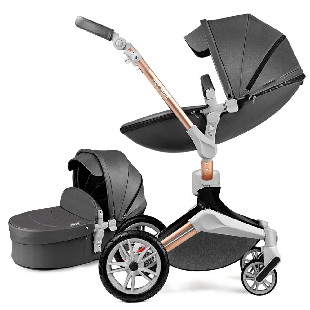 2 in 1 Baby Stroller