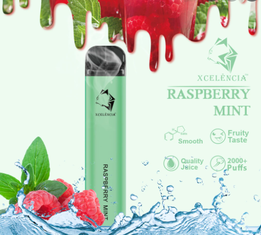 GUNNPOD RASPBERRY MINT – 2000 PUFFS
